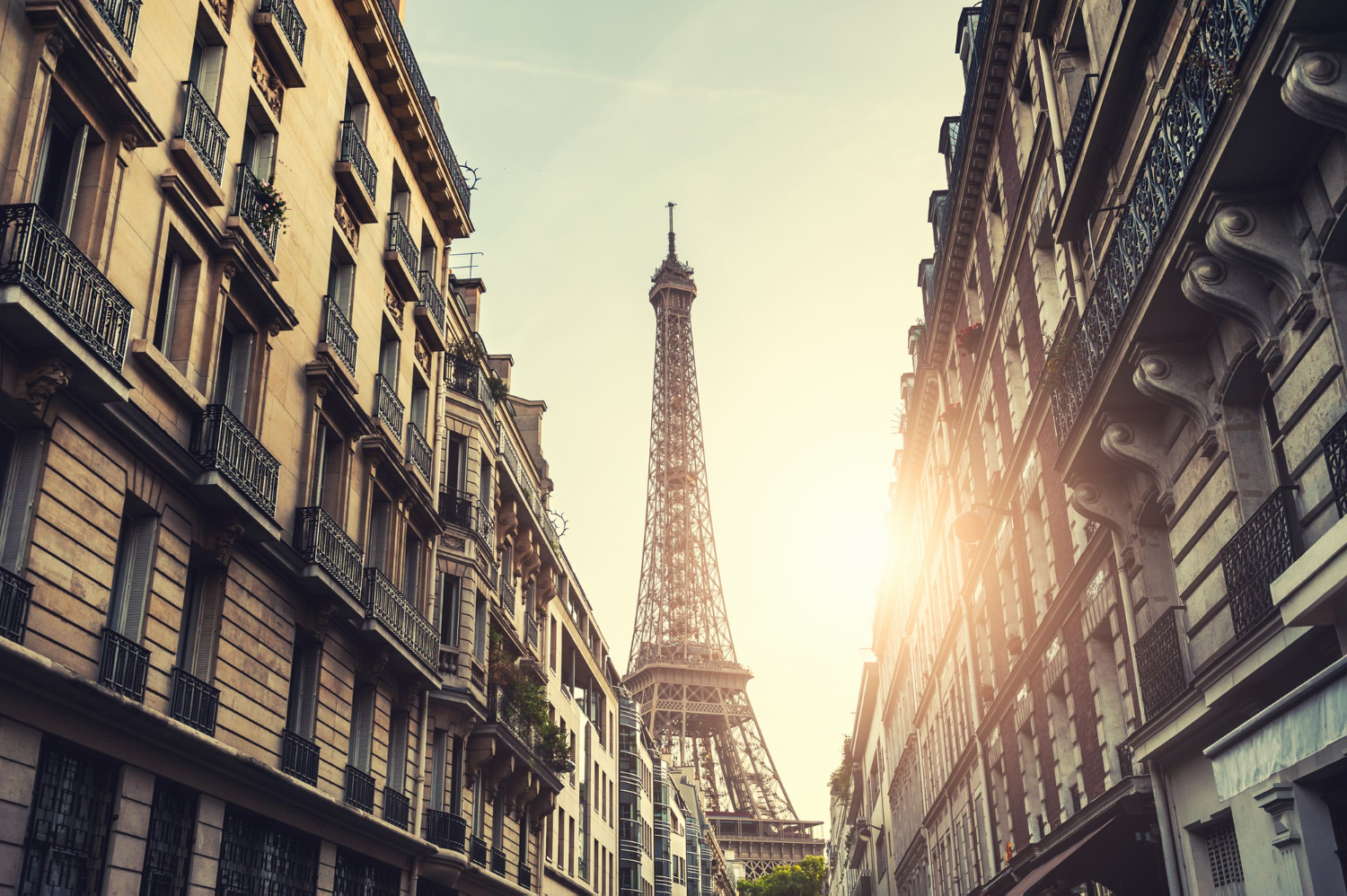 domiciliation entreprise paris
